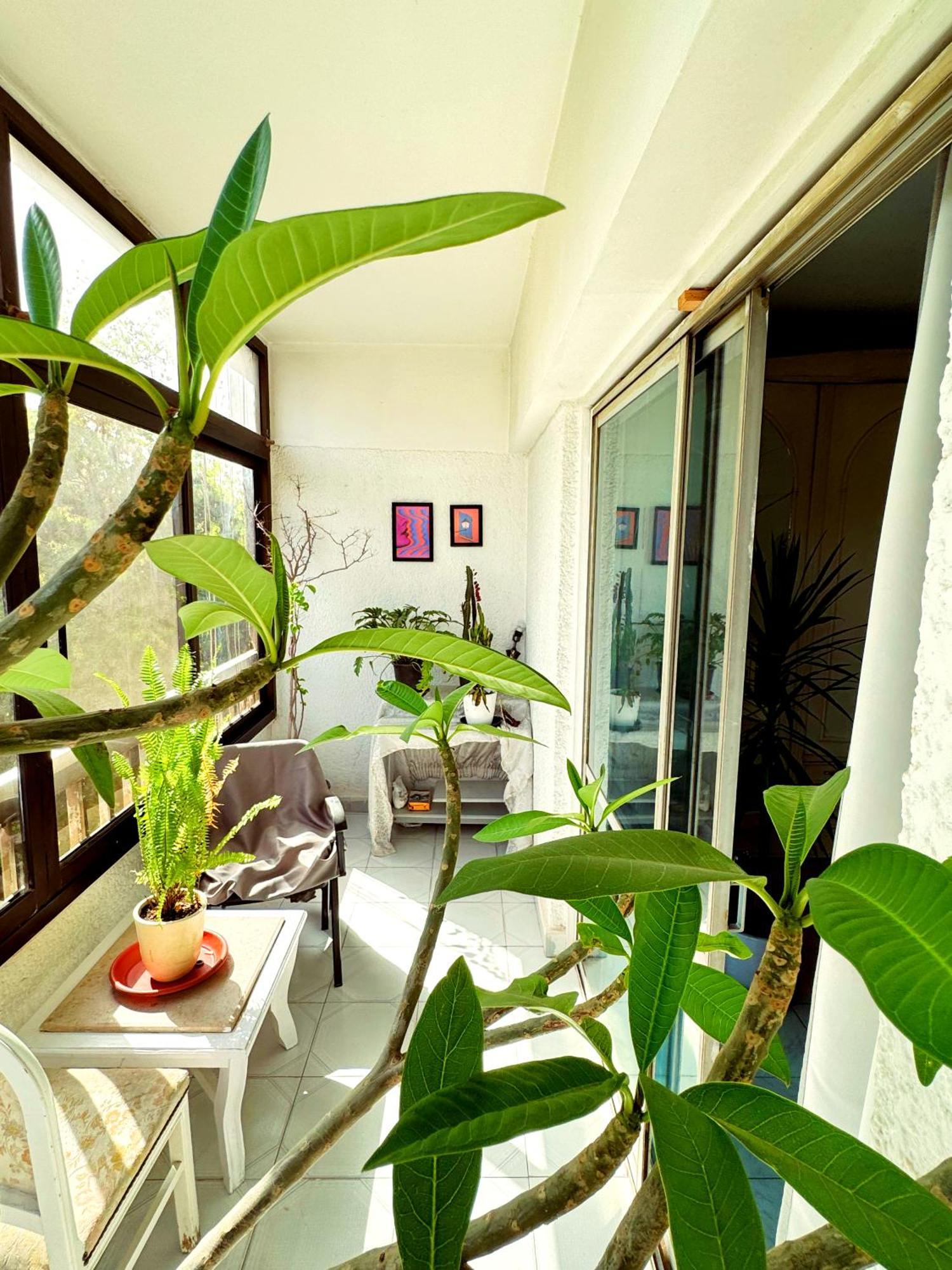 קהיר Large Room With Its Own Balcony מראה חיצוני תמונה